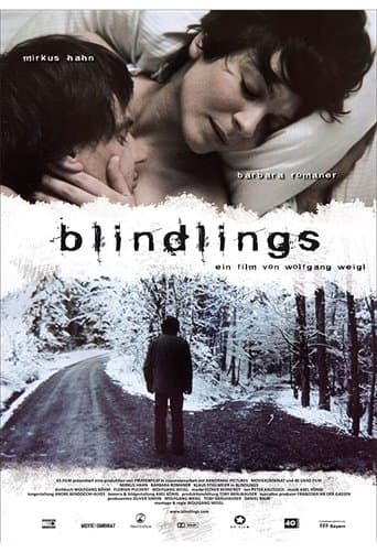 Movie poster for Blind Spot