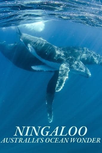 Movie poster for Ningaloo Nyinggulu