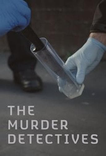 Movie poster for The Murder Detectives