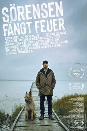 Movie poster for Sörensen Catches Fire