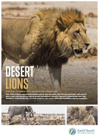 Movie poster for Desert Lions