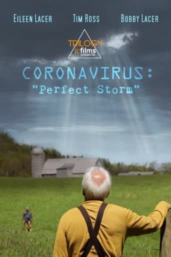 Movie poster for Coronavirus: Perfect Storm