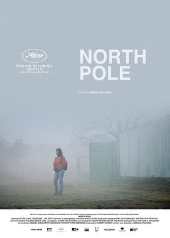 Movie poster for North Pole