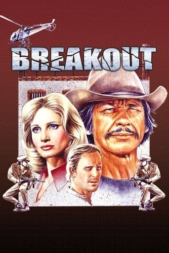 Movie poster for Breakout