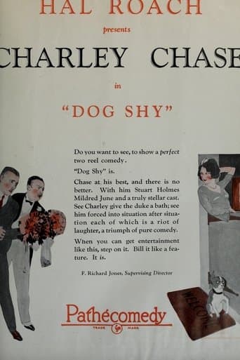 Movie poster for Dog Shy