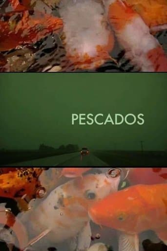 Movie poster for The Fish