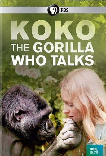 Movie poster for Koko: The Gorilla Who Talks to People