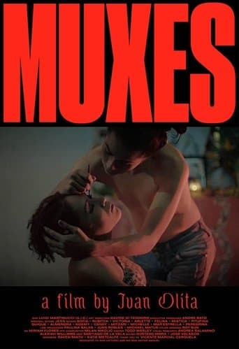 Movie poster for Muxes