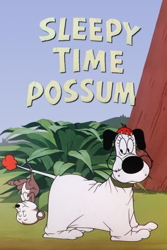 Movie poster for Sleepy Time Possum
