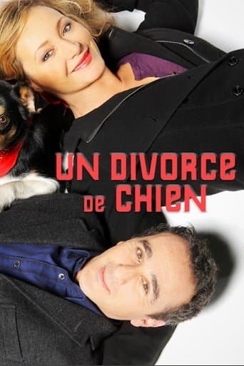 Movie poster for Un divorce de chien