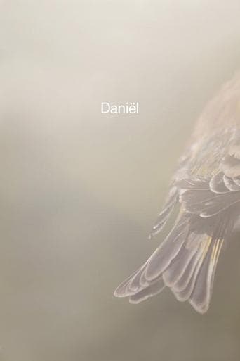 Movie poster for Daniël