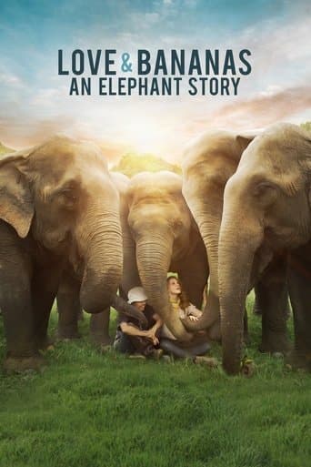 Movie poster for Love & Bananas: An Elephant Story
