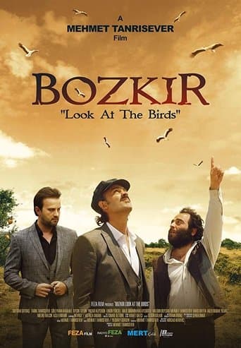 Movie poster for Bozkir "Look at the Birds"
