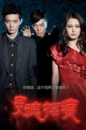 Movie poster for The Ferry Man