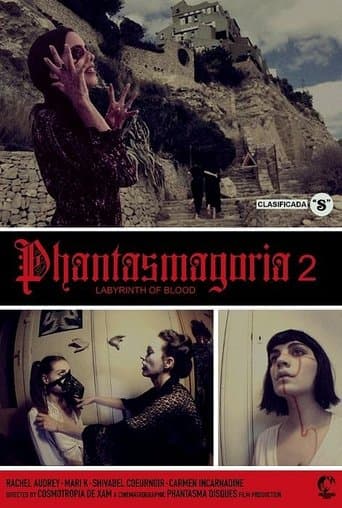 Movie poster for Phantasmagoria 2: Labyrinths of blood