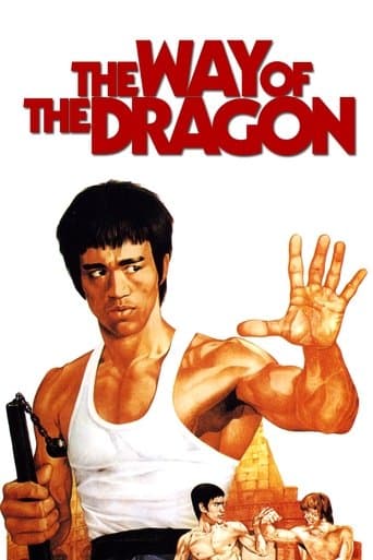 Movie poster for The Way of the Dragon