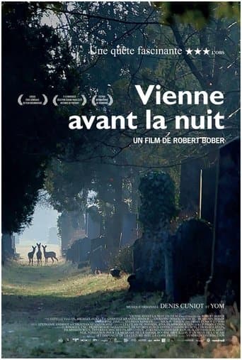 Movie poster for Vienne avant la nuit
