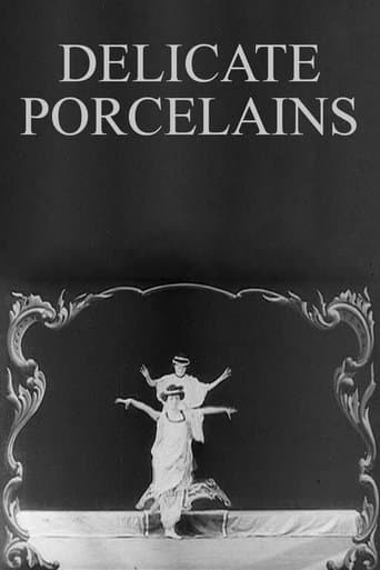 Movie poster for Delicate Porcelains