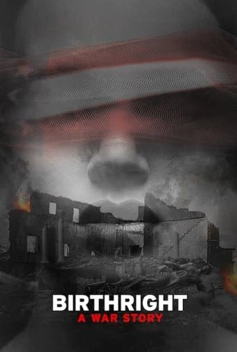 Movie poster for Birthright: A War Story