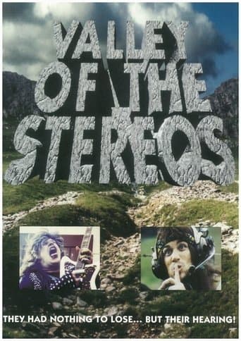 Movie poster for Valley of the Stereos