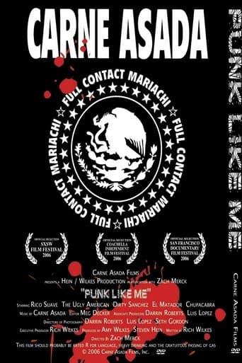 Movie poster for Punk Like Me