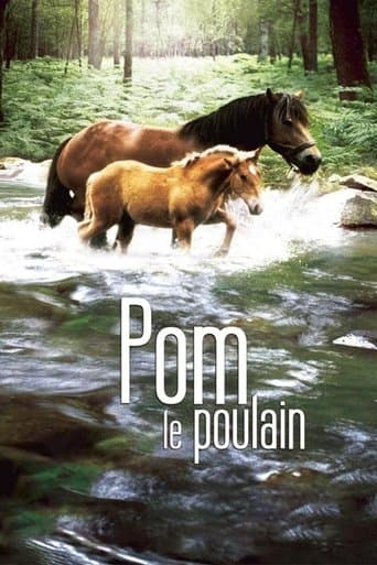 Movie poster for Pom, le poulain