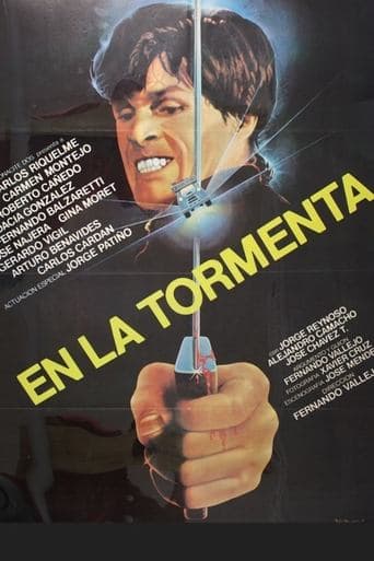 Movie poster for In the Storm