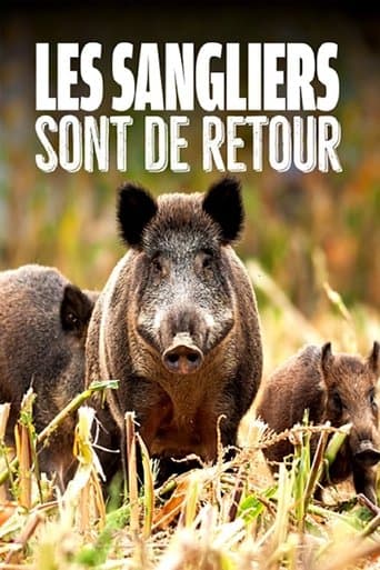 Movie poster for Wild Boar: The Comeback