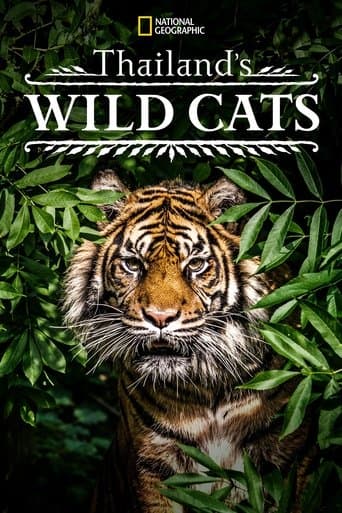 Movie poster for Thailand's Wild Cats