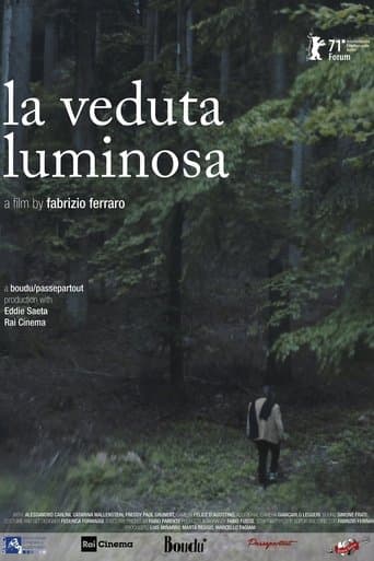 Movie poster for The Luminous View