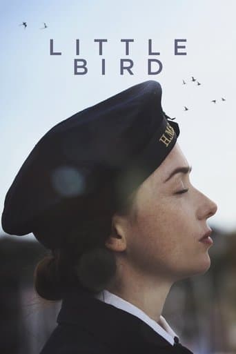 Movie poster for Little Bird