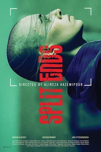 Movie poster for Split Ends