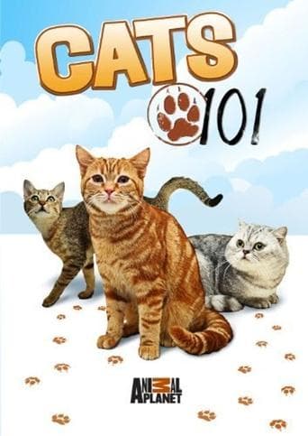 Movie poster for Cats 101