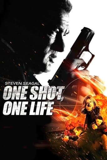 Movie poster for One Shot, One Life