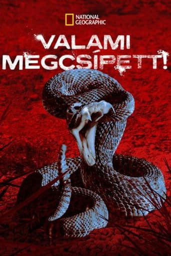 Movie poster for I Was Bitten