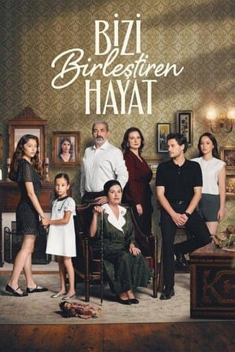 Movie poster for Life That Unites Us