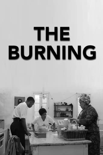 Movie poster for The Burning