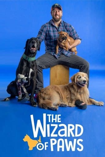 Movie poster for The Wizard of Paws