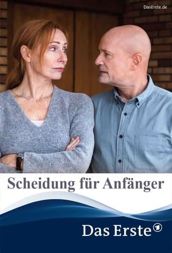 Movie poster for Scheidung für Anfänger