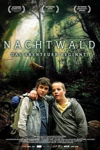 Movie poster for Night Forest