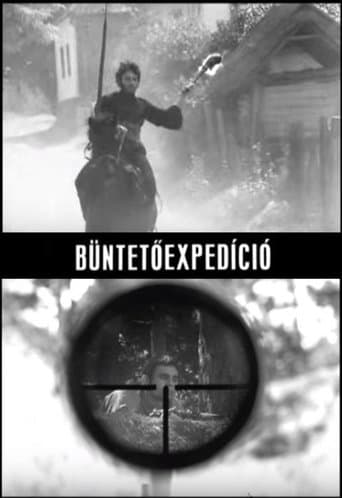 Movie poster for Punitive Expedition