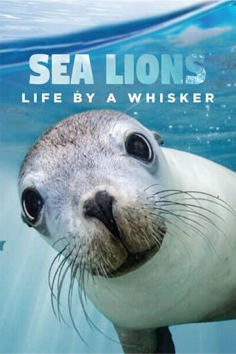 Movie poster for Sea Lions: Life By a Whisker