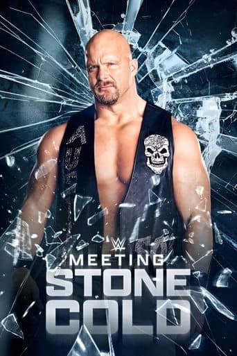 Movie poster for Meeting Stone Cold
