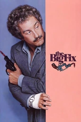 Movie poster for The Big Fix