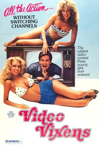 Movie poster for Video Vixens!