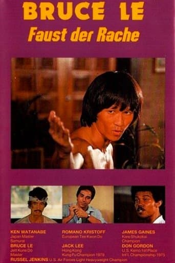 Movie poster for Bruce's Fists Of Vengeance