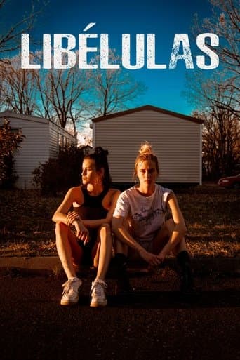 Movie poster for Dragonflies