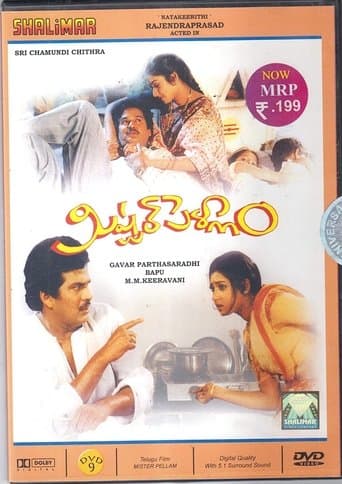 Movie poster for Mister Pellam