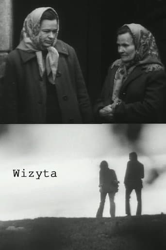 Movie poster for The Visit