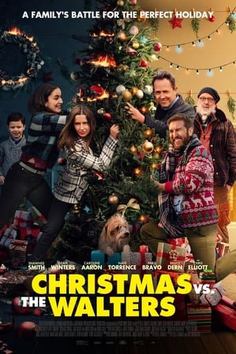 Movie poster for Christmas vs The Walters